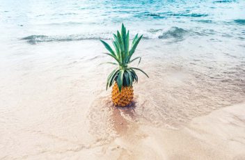 Summer-Blog-Header